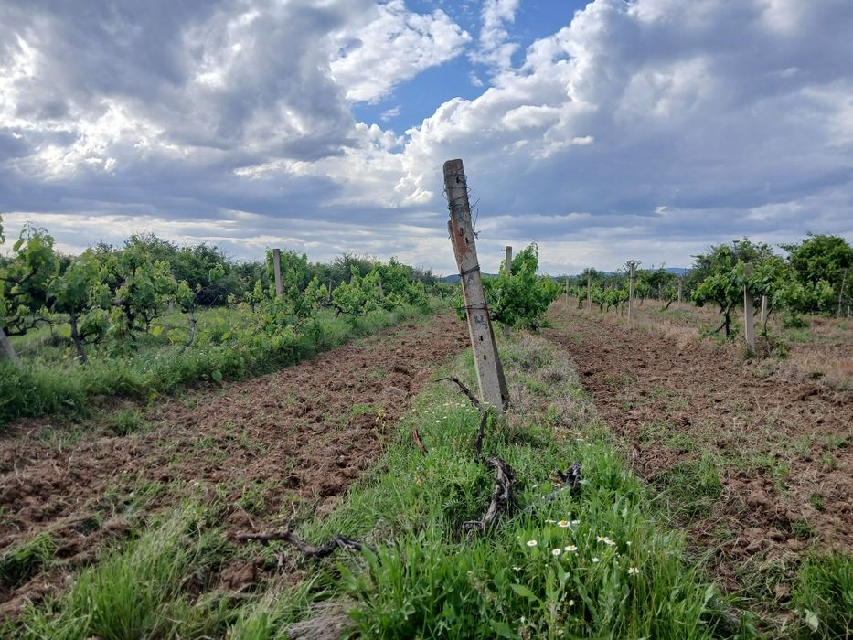 Продава се Земеделски имот в с. Карабунар, Област Пазарджик -  кв.м за 2 €/дка - Снимка #13