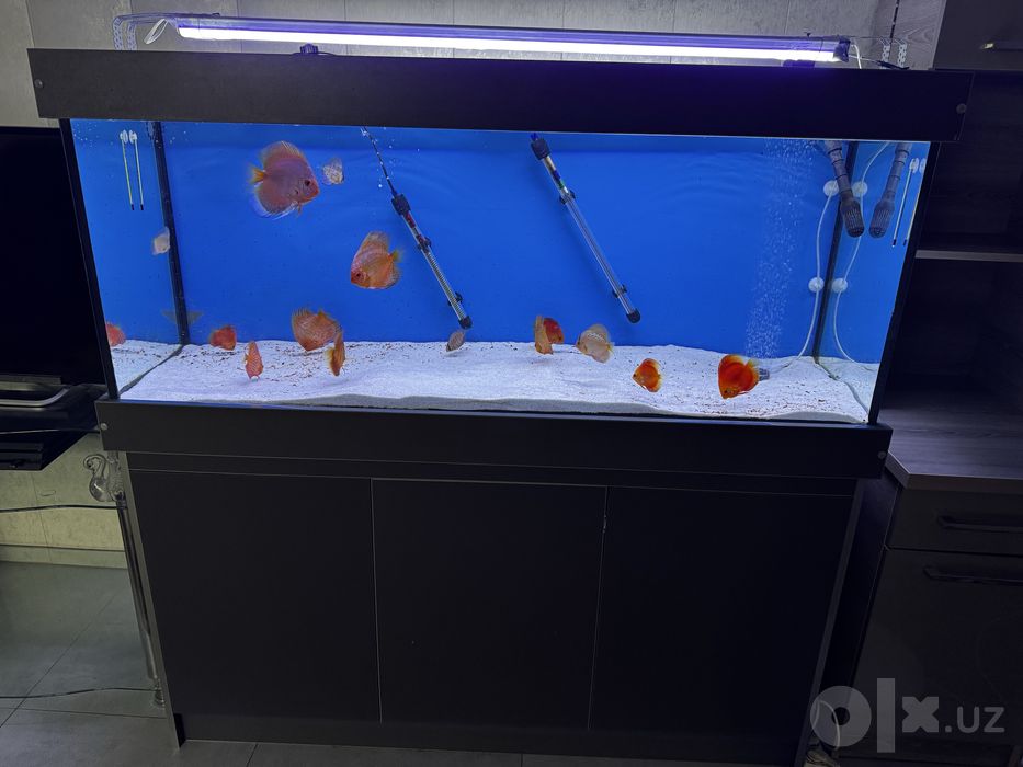 Akvarium 300litr