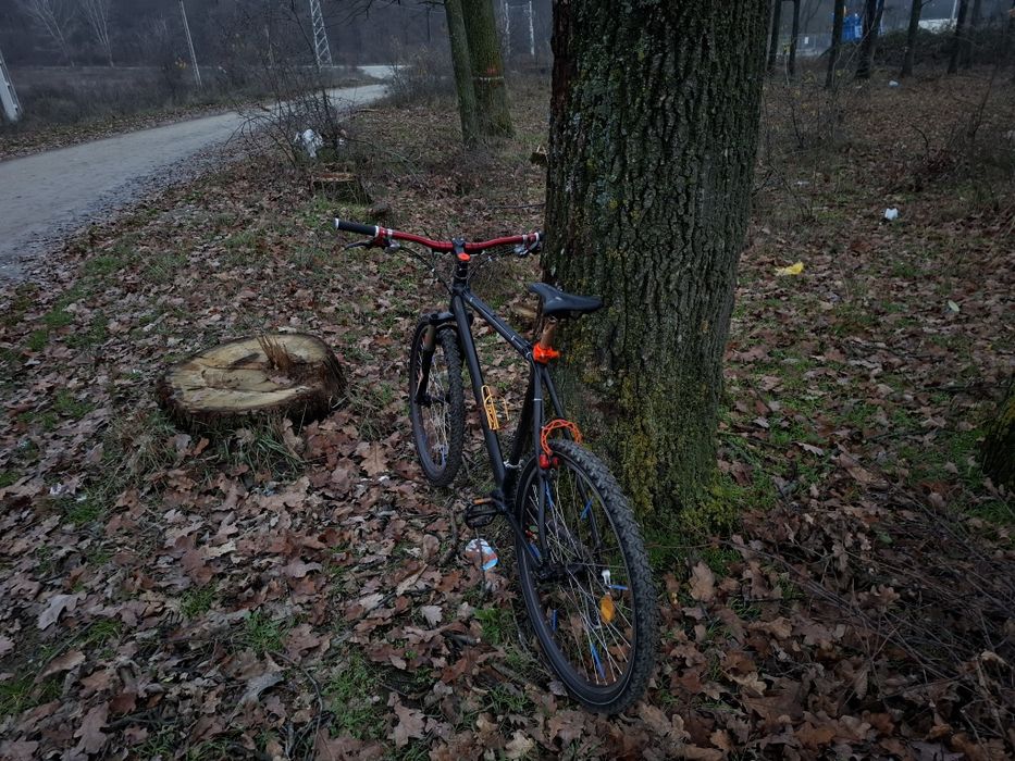 Vand Bicicletă Red Bull