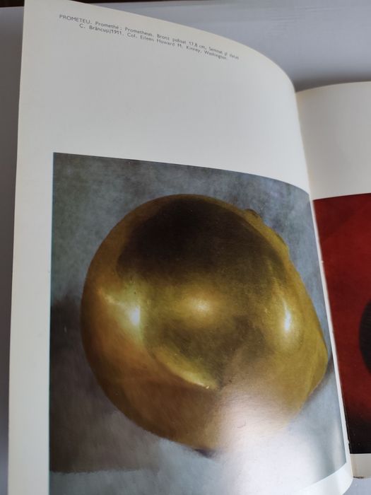 Constantin Brâncuși – Petre Oprea (1976).  Album Artă rar format mare