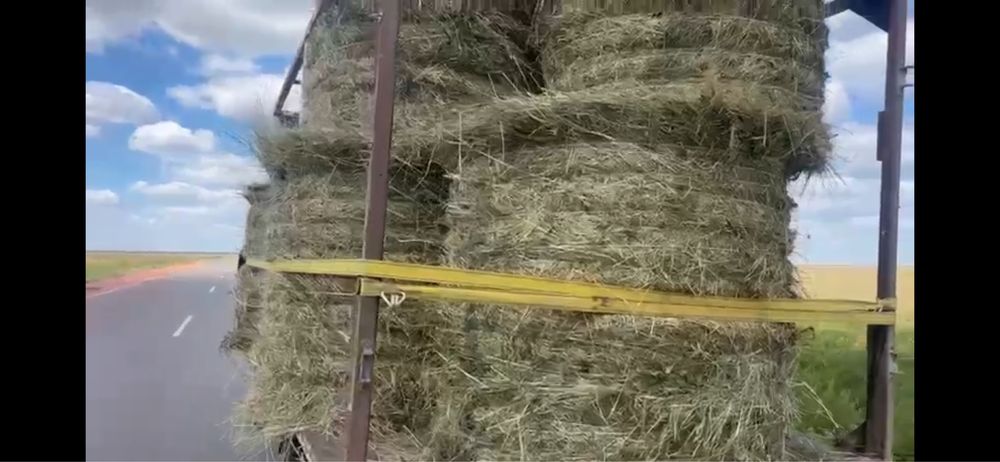 Сено в рулонах  разнотравье