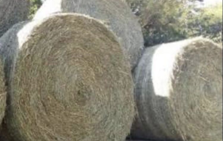 Vând baloți de fân