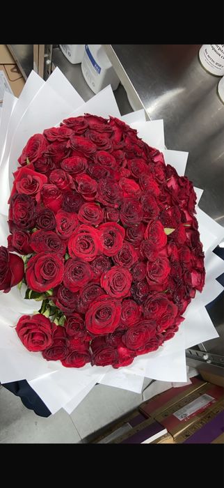 101 роза казир келди свежий саудасы бар