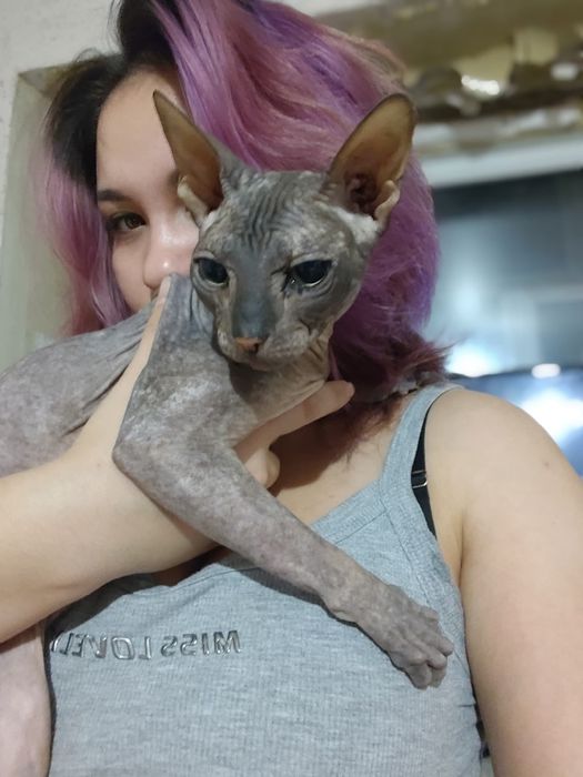 Отдам даром в хорошие руки