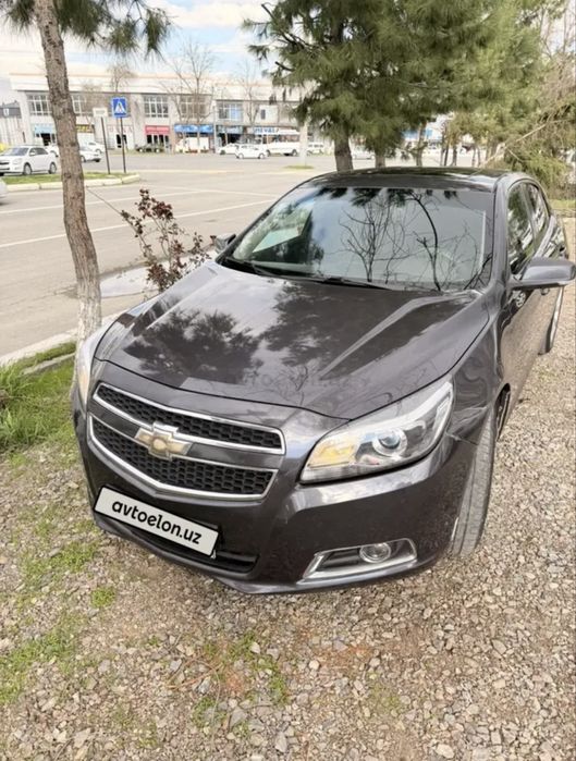 Malibu 1 2 paz lukli 2013