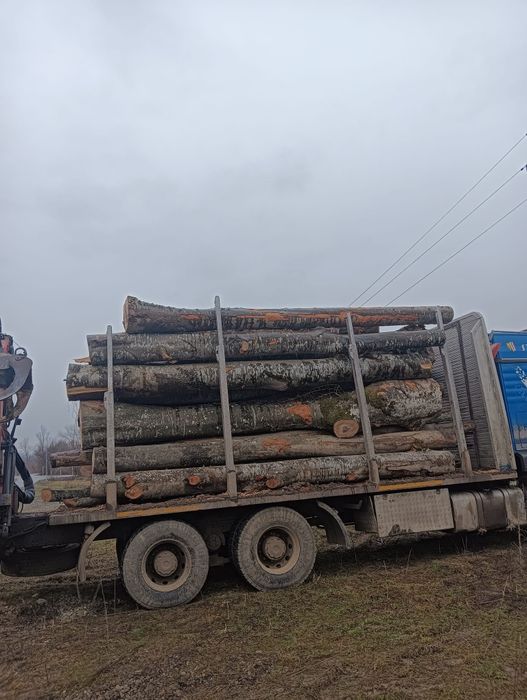 Lemne de fag pentru foc și gater