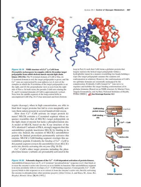 Tratate Biochimie Medicala Format electronic (PDF)-Nivel Avansat