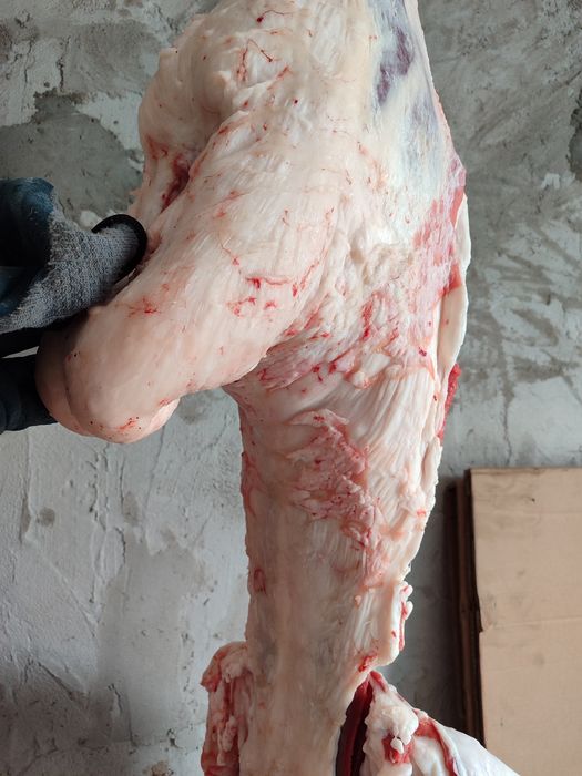 Продам мясо баранов