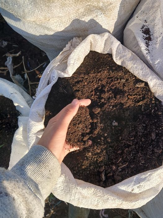 Vând mranită la saci