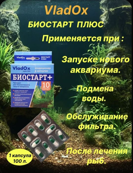 VladOx. Биостарт Плюс. 10 капсул.