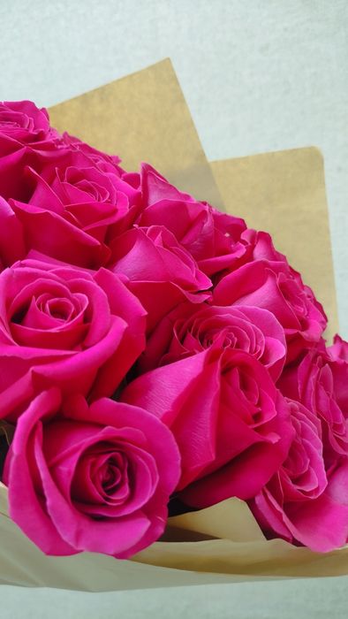 Розы Пинк  Флойд 60см