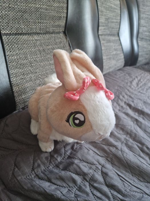 Vand iepuras interactiv