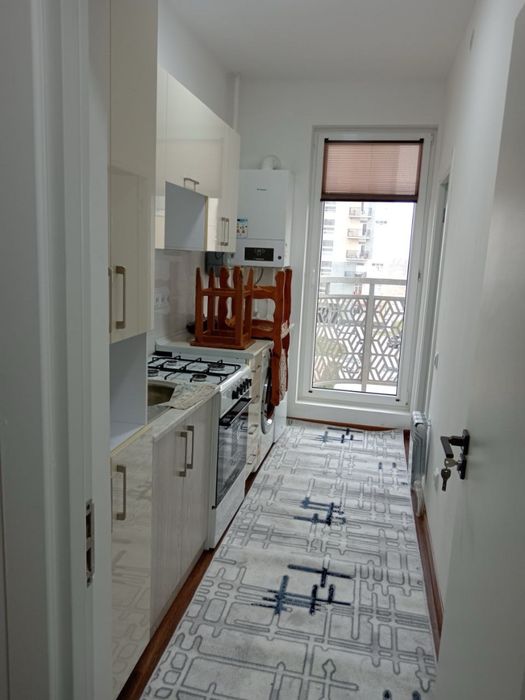 1 комнатная с мебелью и техникой в новостройке