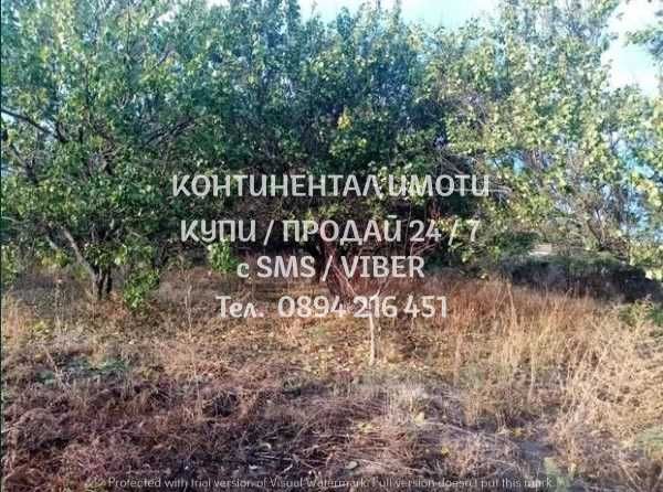 Продава се Парцел в с. Граф Игнатиево, Област Пловдив - 1060 кв.м за 40 €/кв.м - Снимка #3