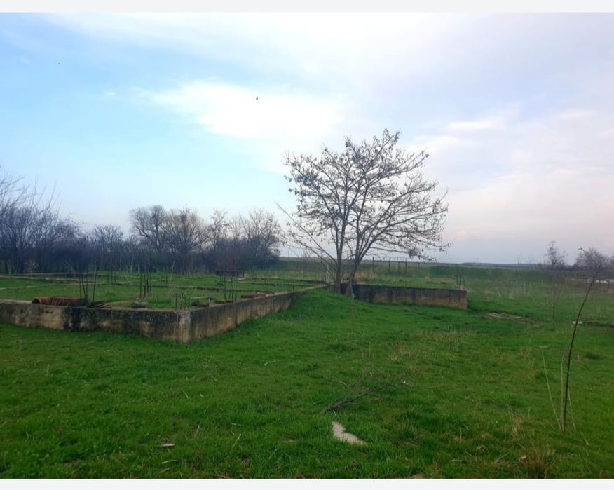 Vând casă  in localitatea Nădab, casa veche și o fundație făcută pt ca