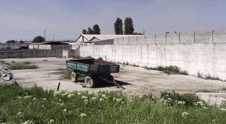 Срочно Продается Две Фермы Чирчик
