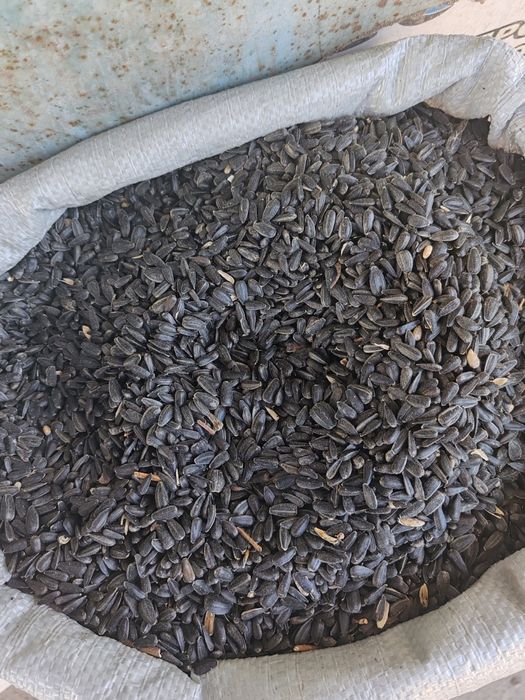 Семечки и гранулы семечки