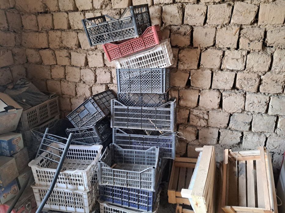 Tekin yashiklar bor kelib opketasila