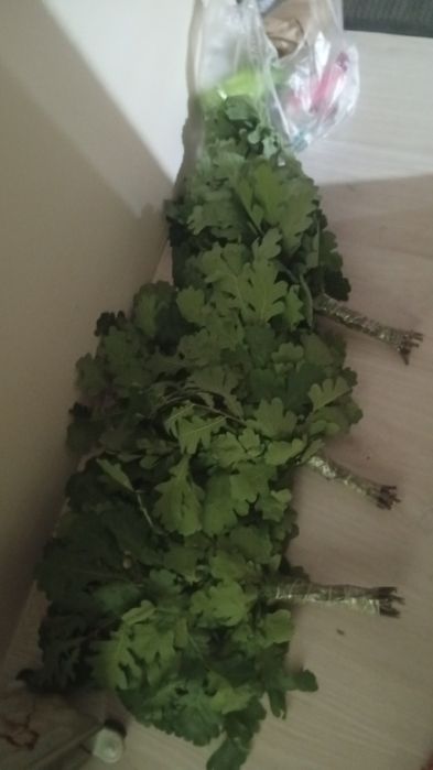 Продам венники банные