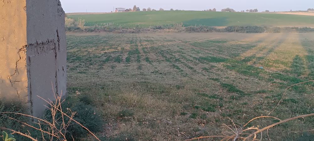 Bo'sh yer uchastka 35 so'tix