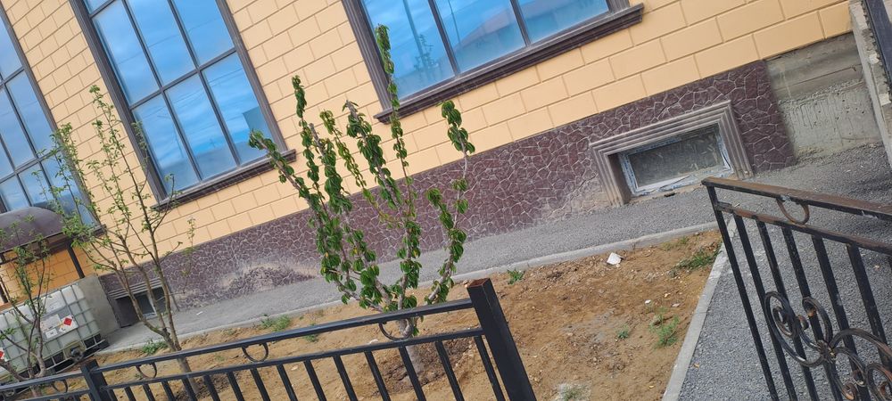 Сварщик. Адрес: адайский бокс