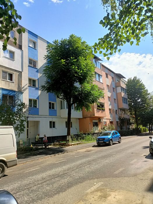 Nuci negre americane (Nuc Negru)