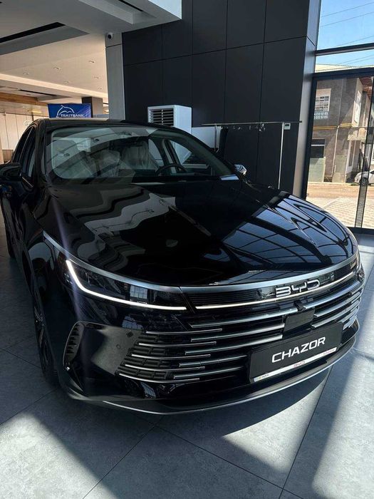 BYD chazor champion