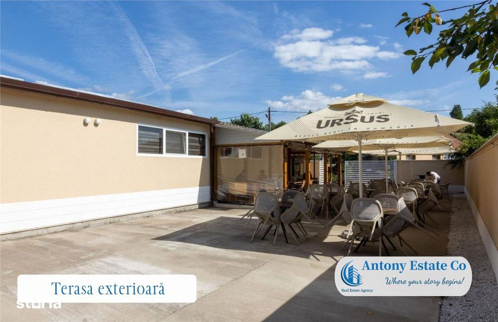 Oportunitate investitionala - Proprietate Ho.Re.Ca - Budureasa, Bihor