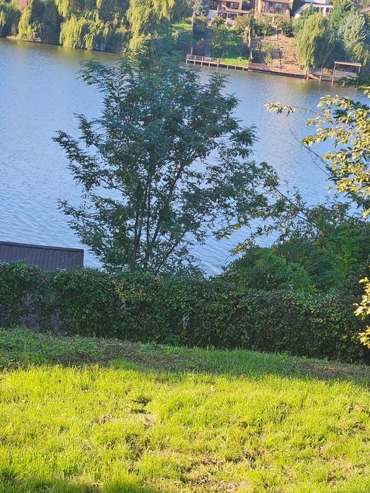 Ideal investitie rezidentiala: Teren cu deschidere la Lac Balotesti