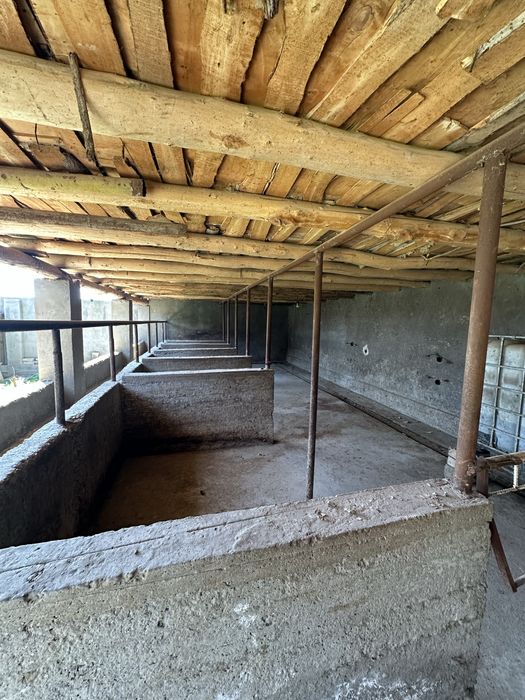 16 sotix joy + orqasi dala SROCHNA SOTILADI!