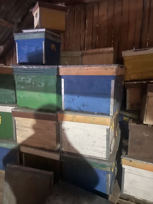 Vand lazi pentru albine