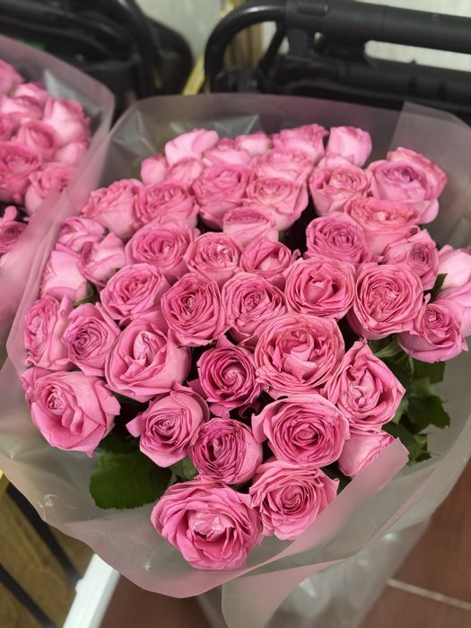 Цветы роза розовые 51шт