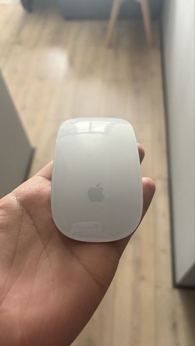 Apple magic mouse