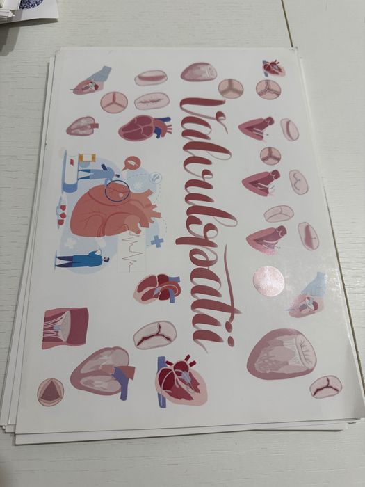 Flashcarduri valvulopatii