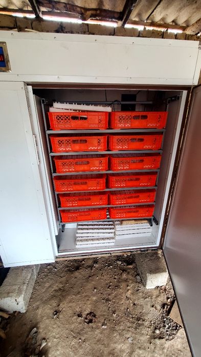 Inkubator 1000 o'rinli