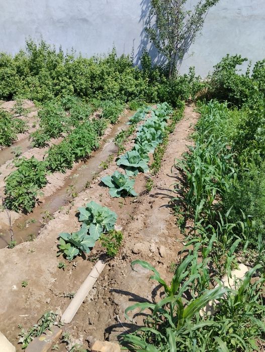 Uy sotiladi xolati yaxshi