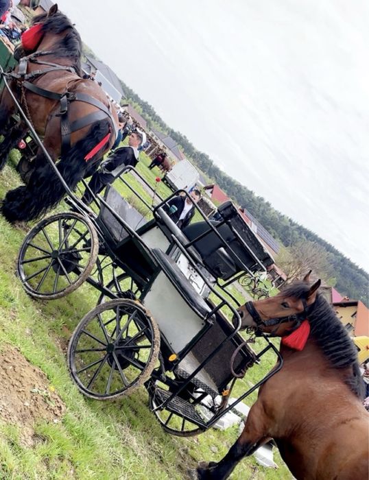 Vând sau schimb trăsură