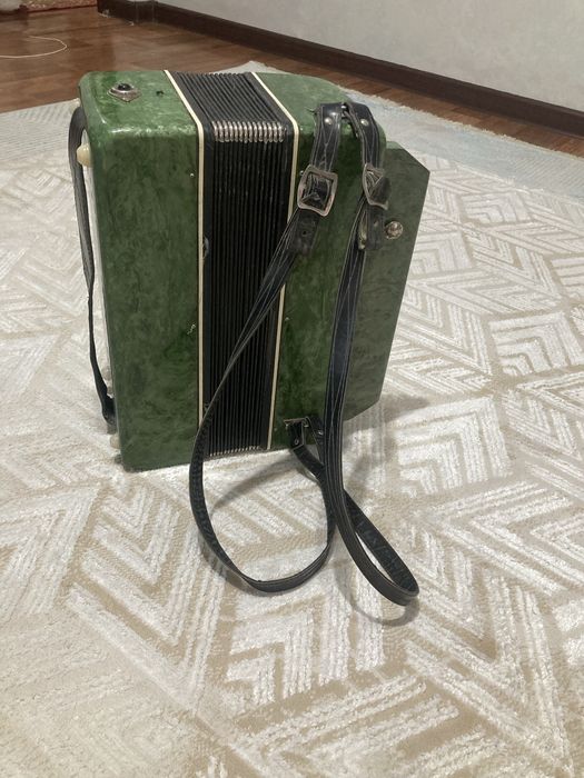 Баян…………………………….