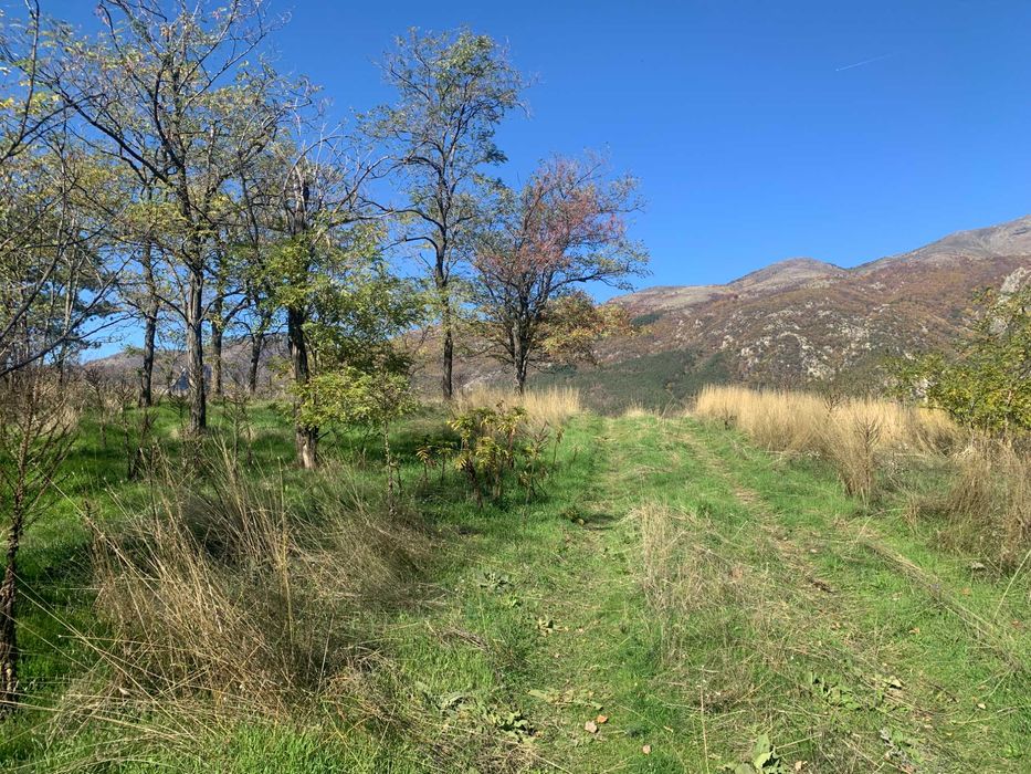 Продава се Парцел в Карлово - 9329 кв.м за 60 €/кв.м - Снимка #4