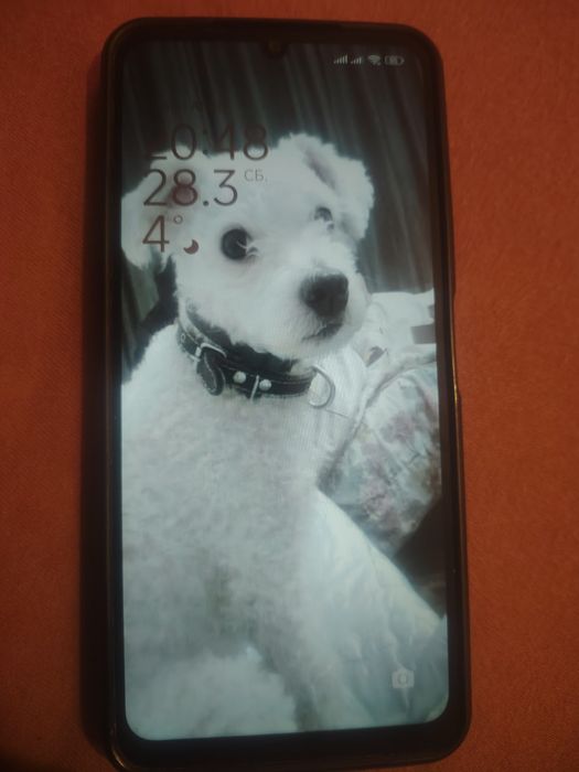 Мобилен телефон Xiaomi Redmi 13C