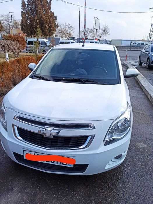 Cobalt 2019   oq Srochna