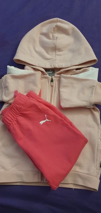 Trening fetite puma
