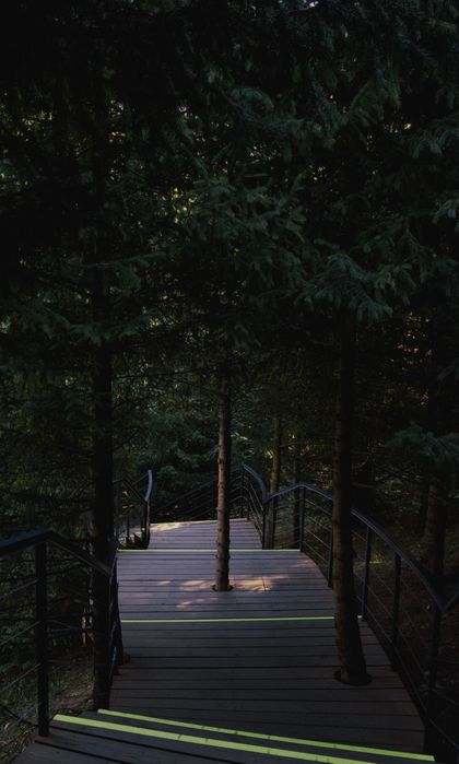 Камера Canon eos rp