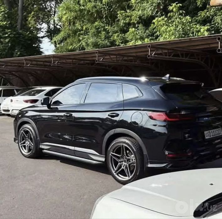Byd champion 150