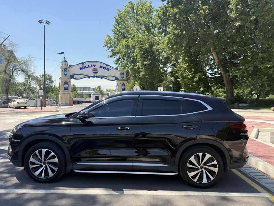 Byd chempion gibrid