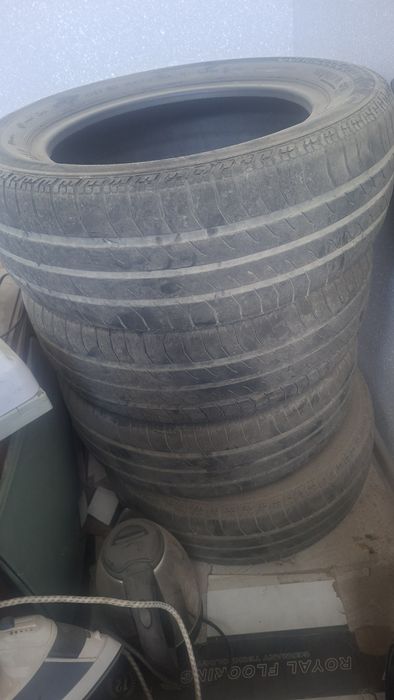 14 bolon nexsiya 2 niki sotiladi