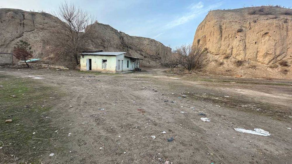 Ферма 80 сўтих. Манзил Тошкент вилояти, Пискент тумани.