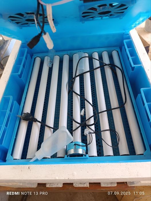 Инкубатор сотилади