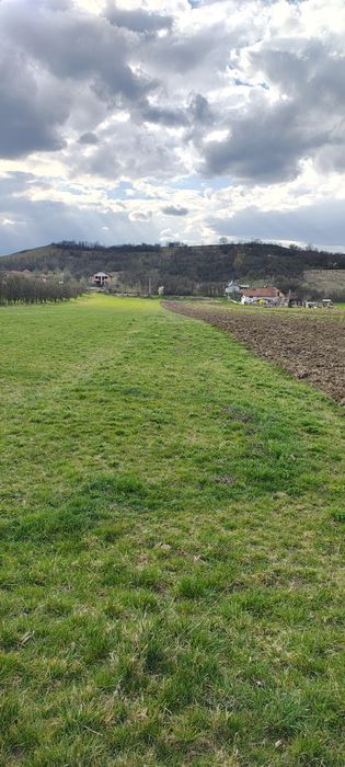Teren extravilan situat intre case,intrare sat Maceu