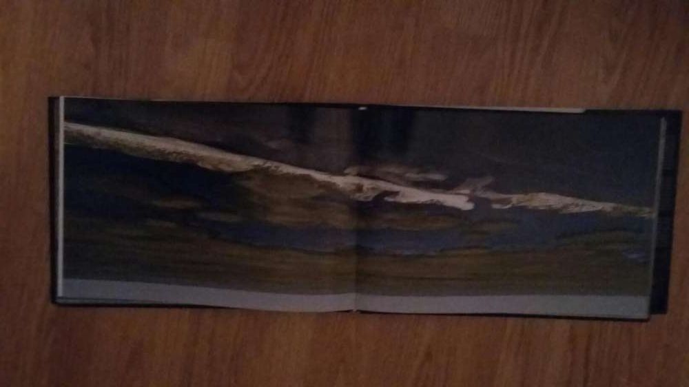 Carte "Song of the mute swan"